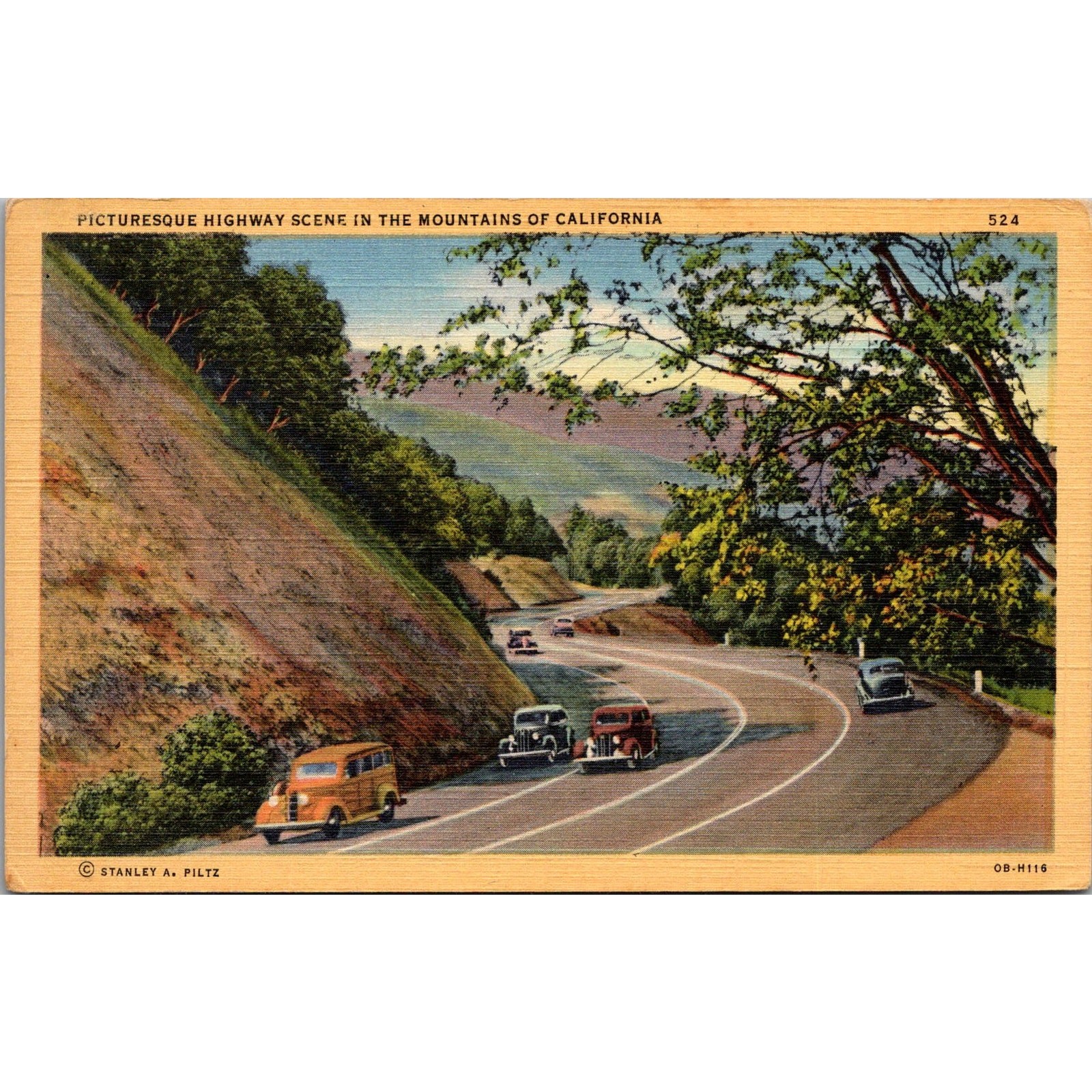 Picturesque Highway Scene in the Mountains of California Vintage Postcard SPW4
