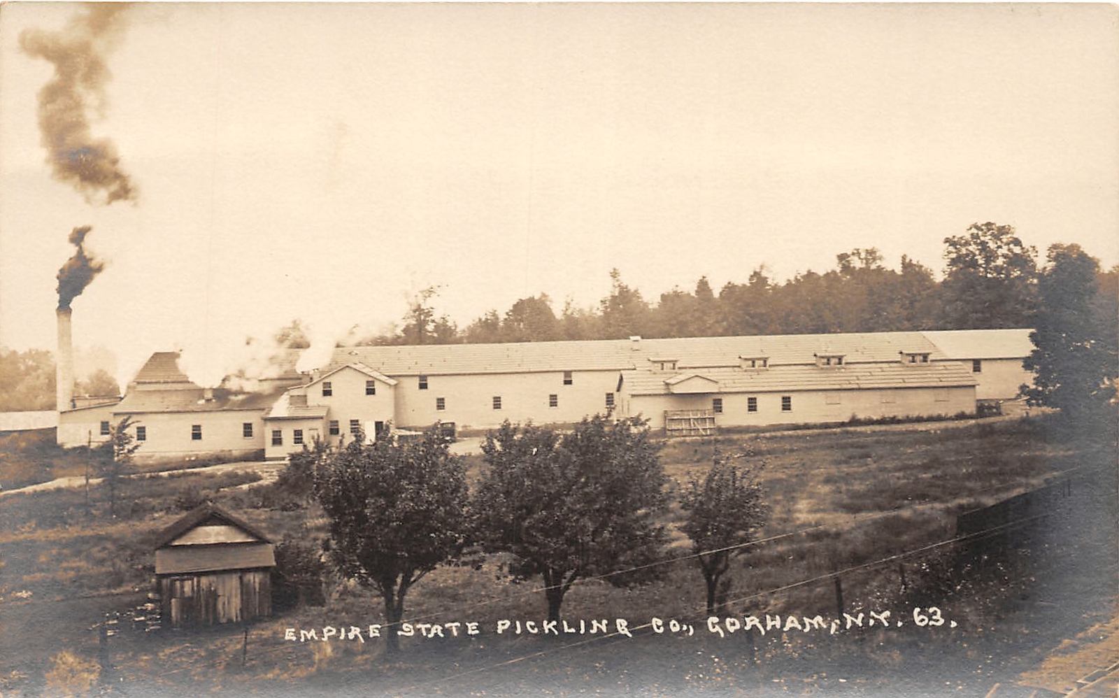 J51/ Gorham New York RPPC Postcard c10 Empire State Pickling Co Pickles 304
