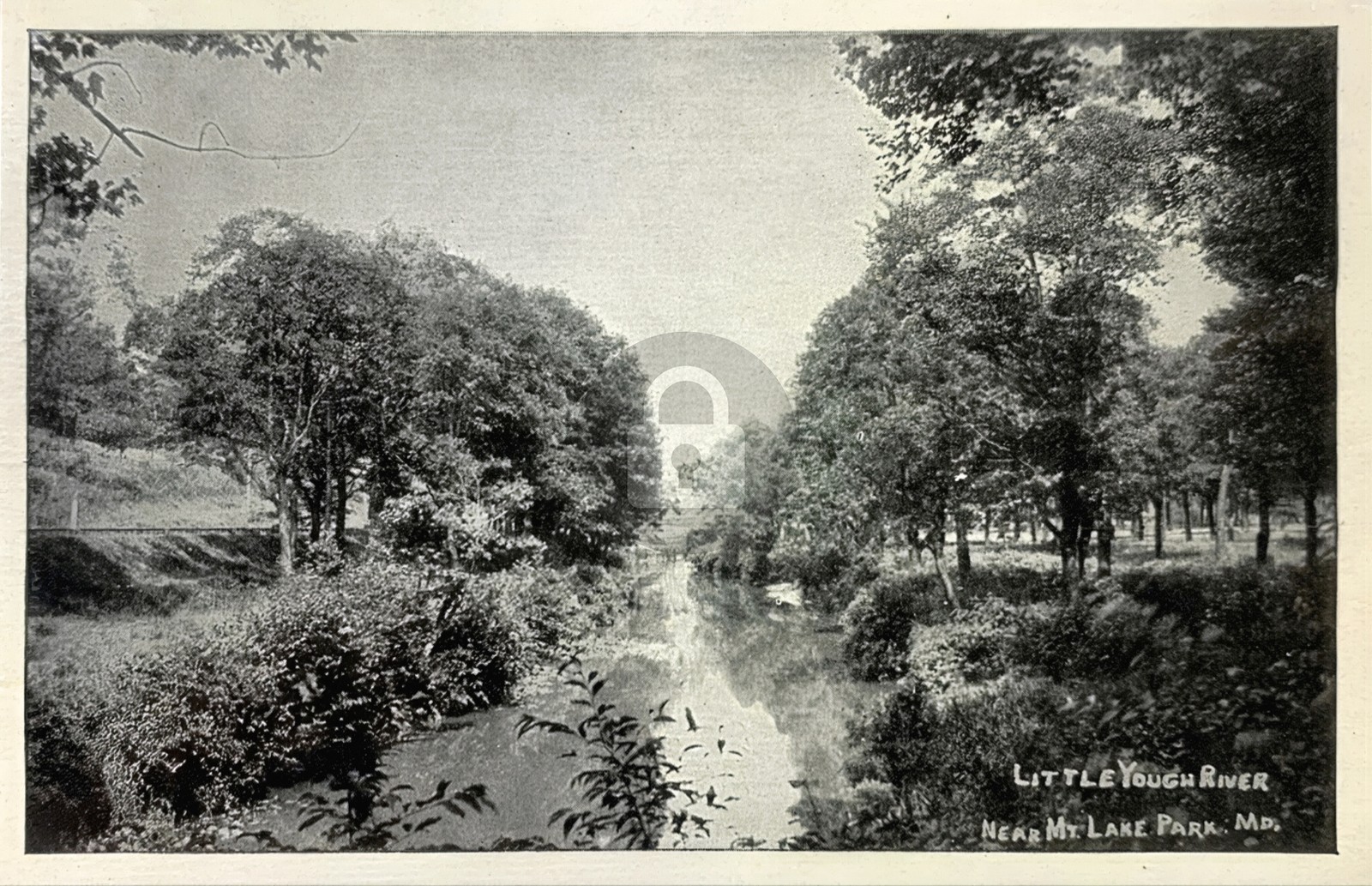 1911 IBSA Convention Watchtower Mt. Lake Park MD RPPC Photo Postcard COPY