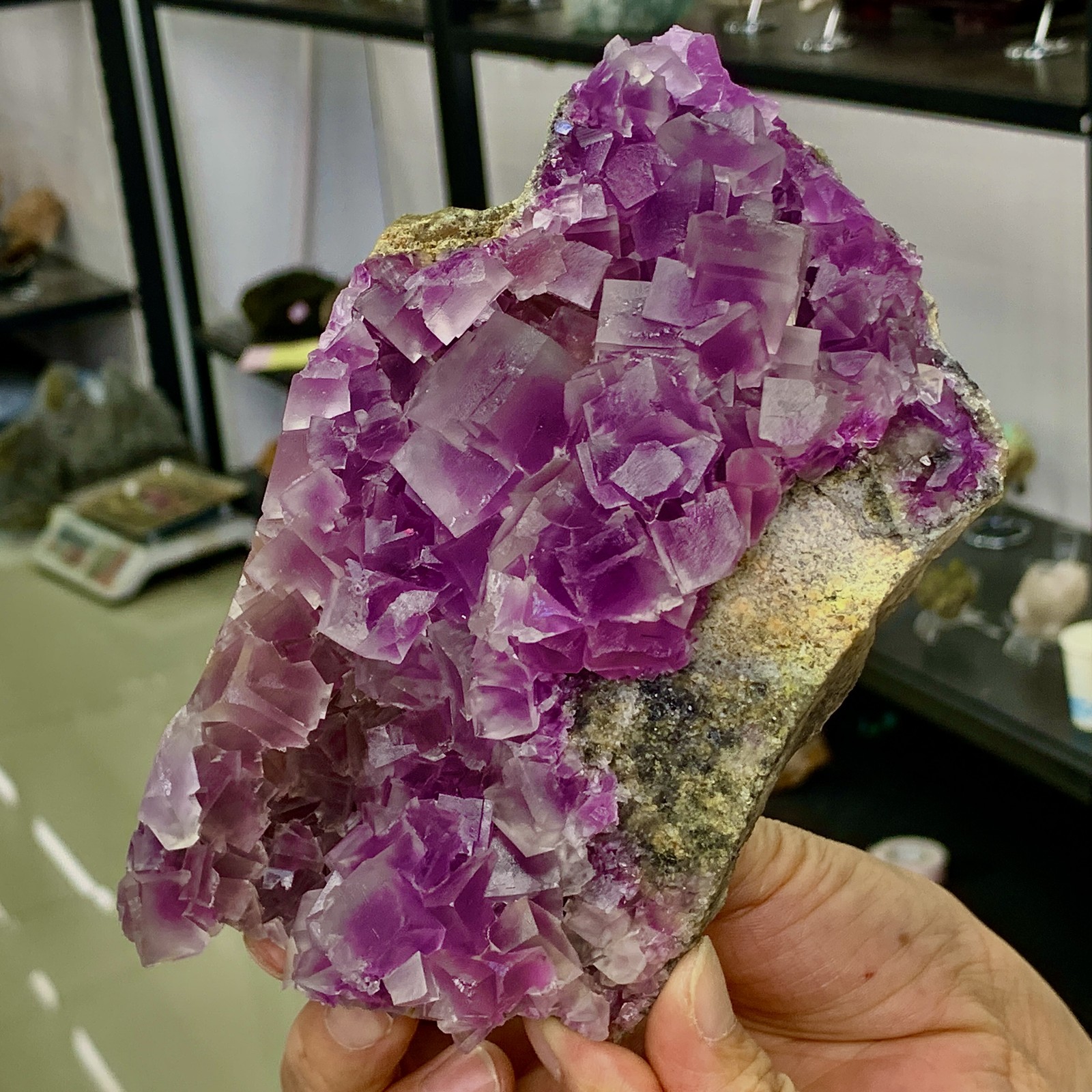 1.86LB Natural Crystal Rare transparent purple cubic fluorite sample/China