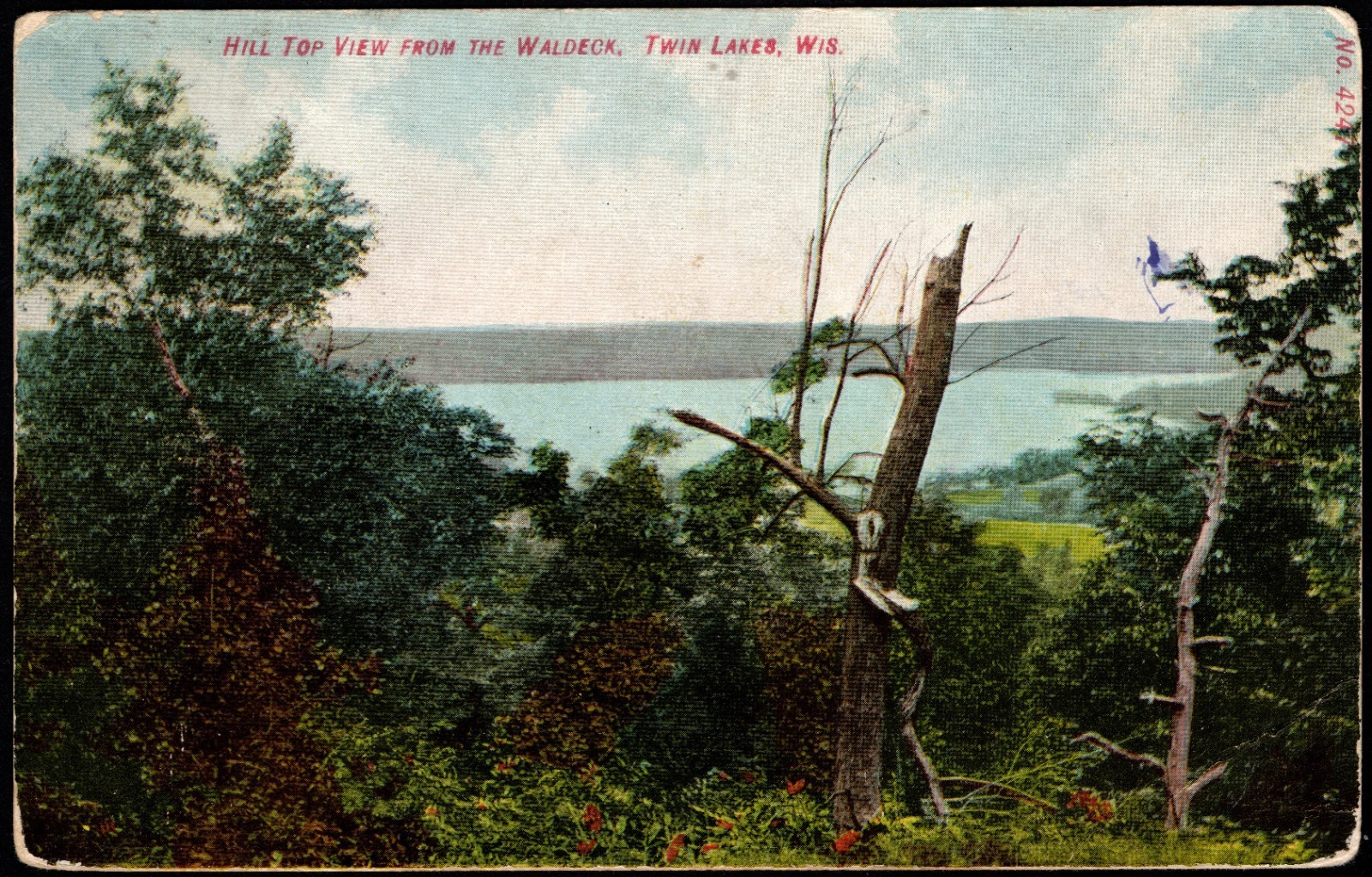 Postcard Hill Top View From the Waldeck, Twin Lakes, WI  Antique  1908