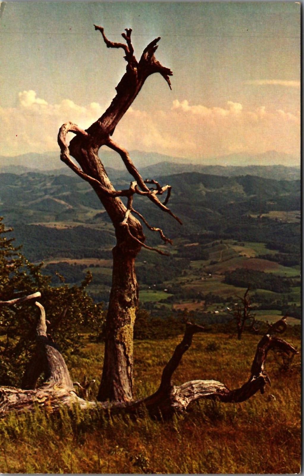 Vintage Postcard - View from Whitetop Mountain, Southwest Virginia