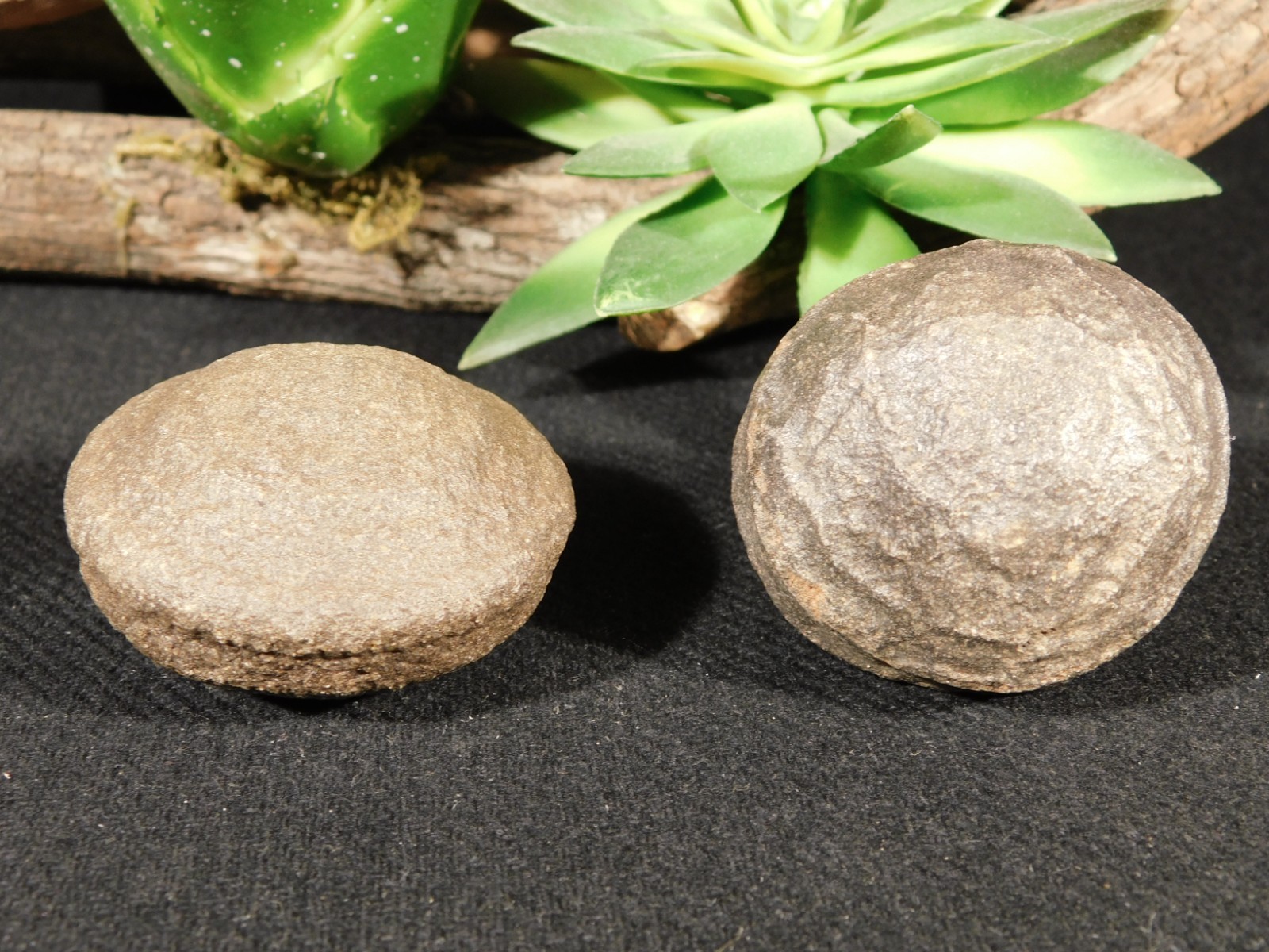 Larger MOQUI Marble / Shaman Stone PAIR 100% Natural Utah 182gr