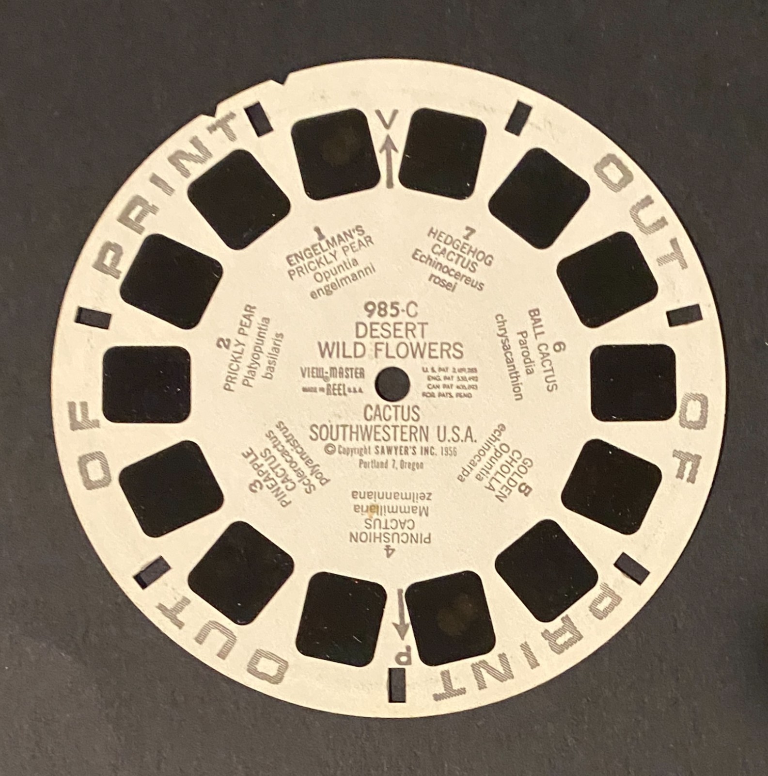View Master Reels - Out of Print Stamped Reels - You Pick
