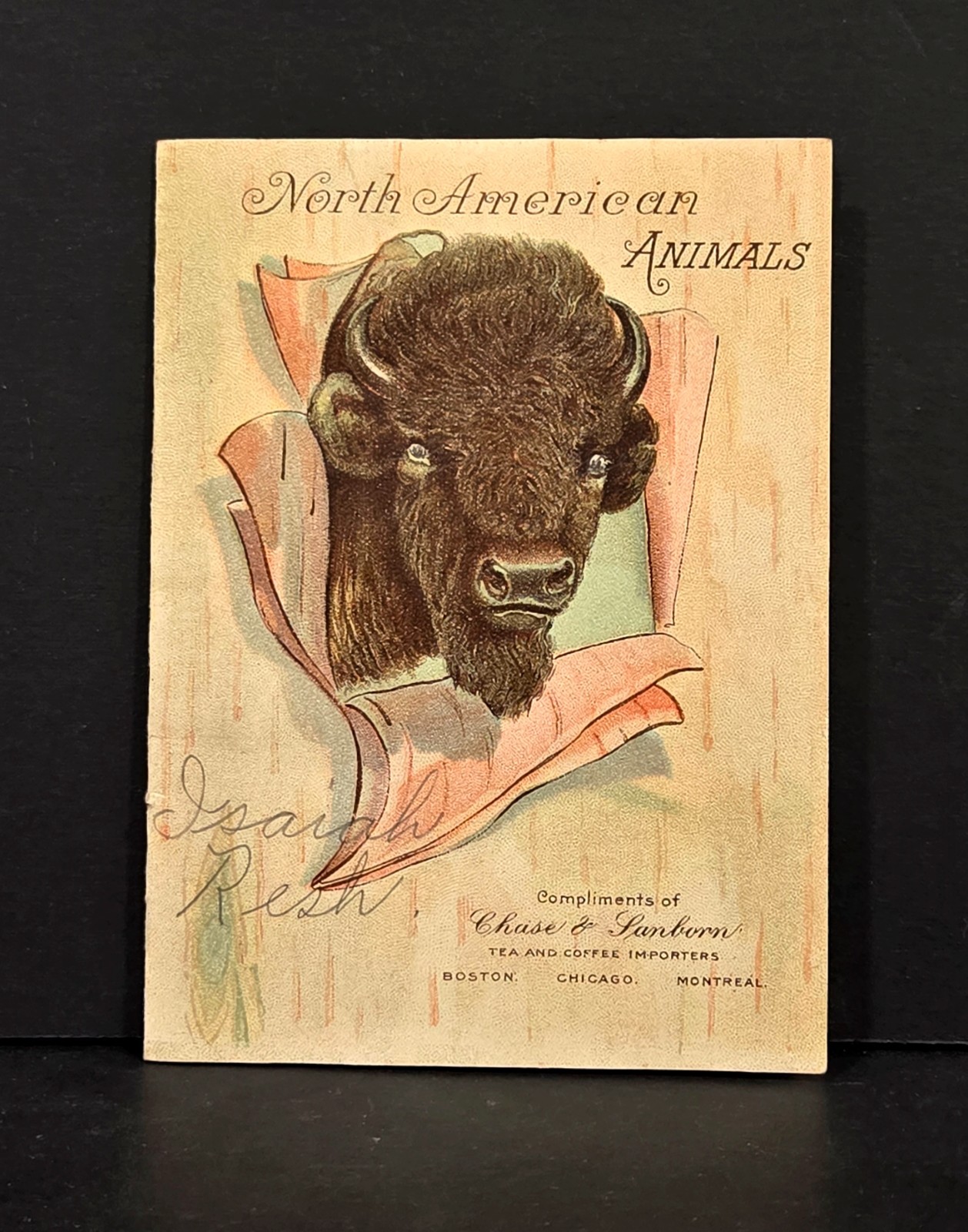 VTG 1909 Chase & Sanborn “North American Animals” Coffee & Tea Advtg. Booklet