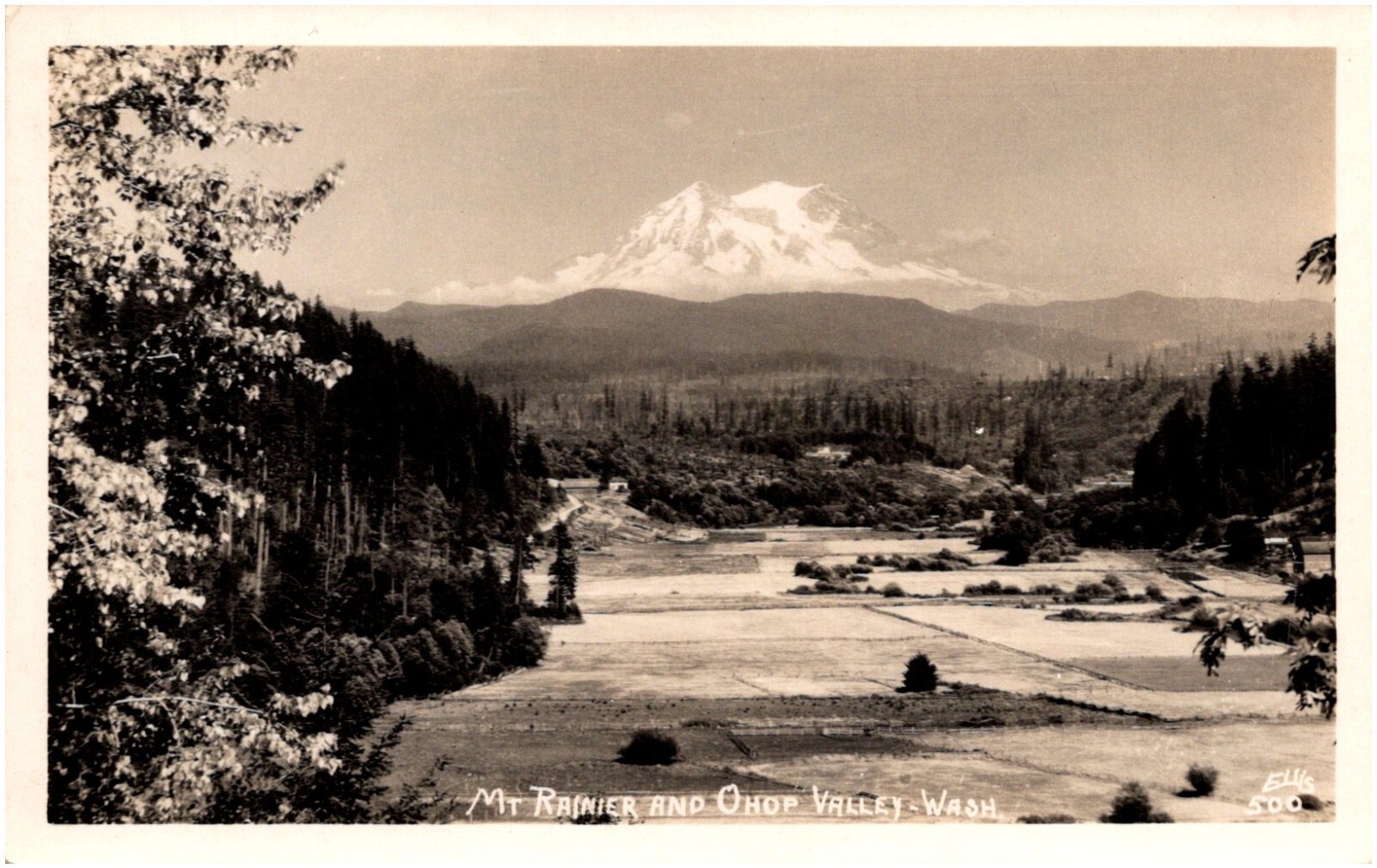 Mt. Rainier and Ohop Valley Washington Scenic View 1930s RPPC Photo Postcard