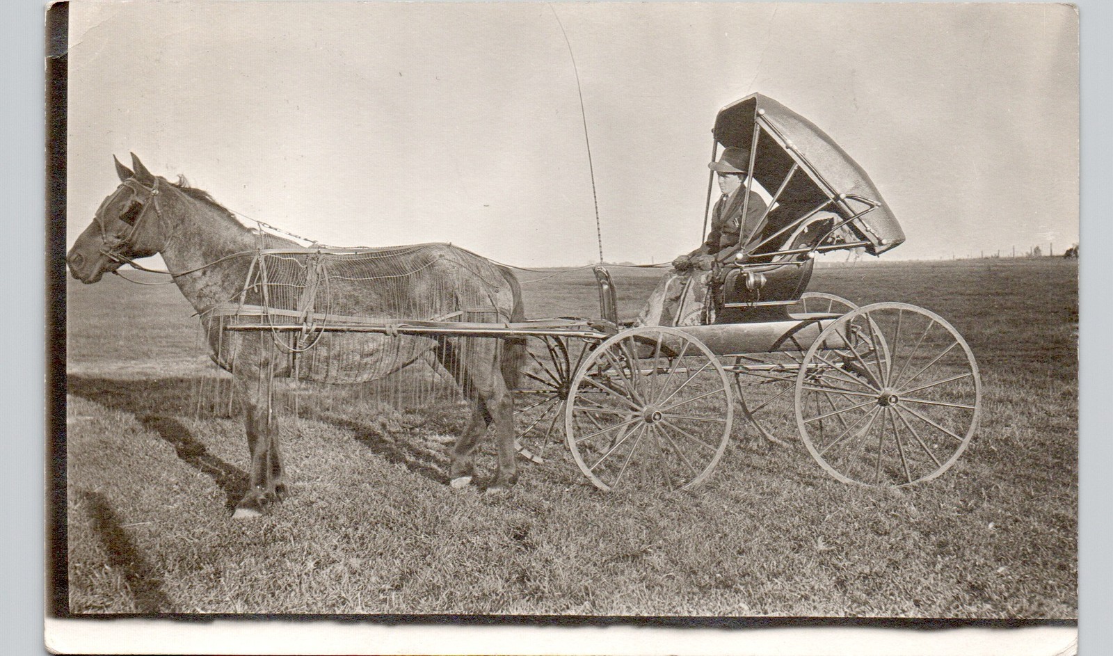 HORSE-DRAWN BUGGY nevada ia c1910 postcard iowa real photo rppc dirt road HORSE-DRAWN BUGGY nevada ia c1910 postcard iowa real photo rppc dirt road