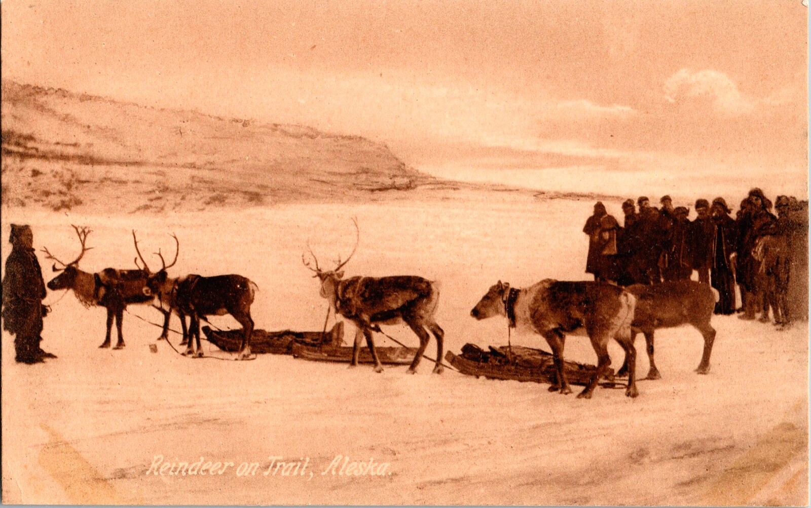  Vintage Inuit People & Reindeers on Alaska Trail Real Photo Postcard (RARE)