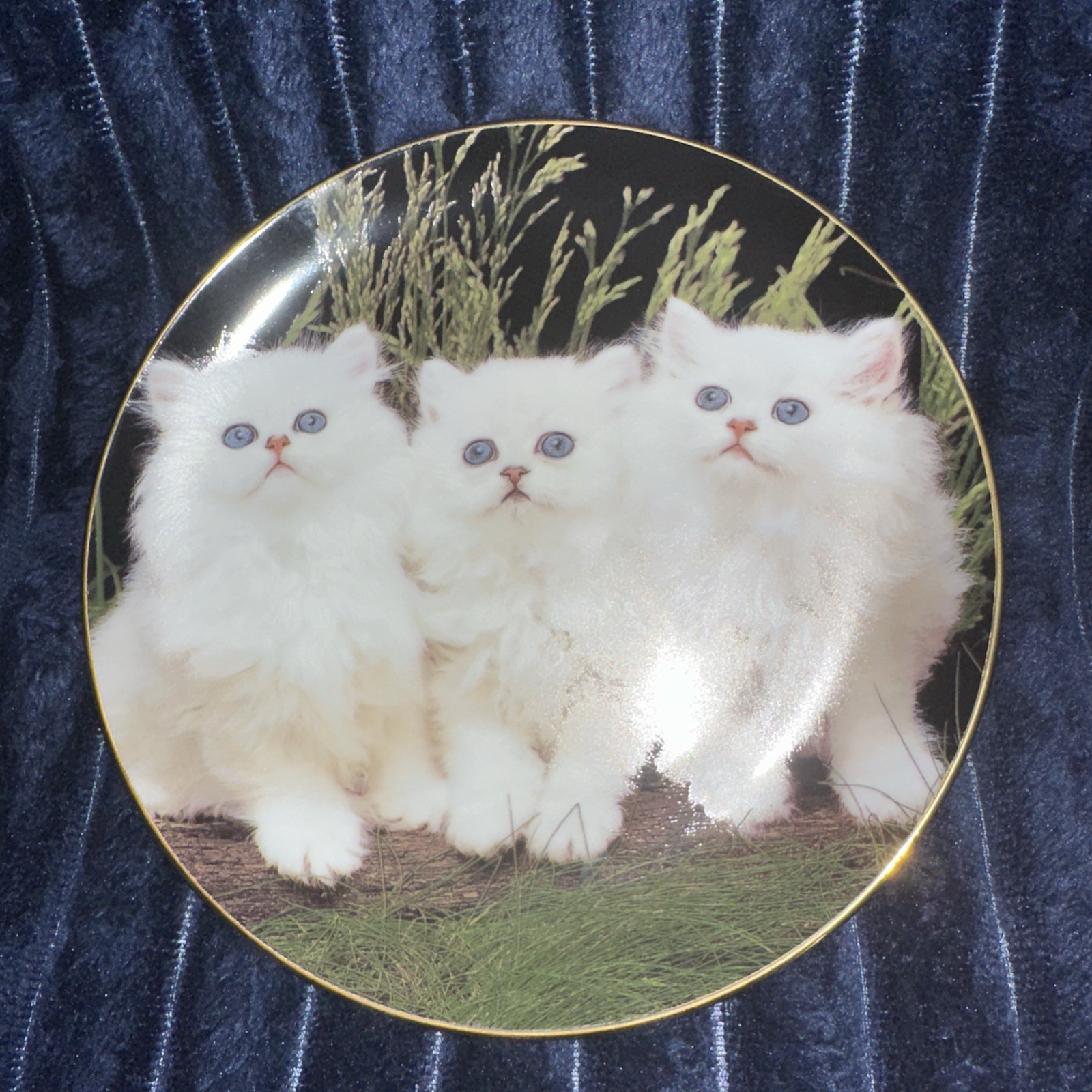 Adorable Danbury Mint 8