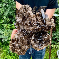 10.8LB  Natural Tea black Crystal quartz Cluster Mineral Specimen Healing reiki picture