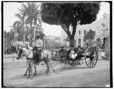 Cuban volanta, 1904. 2-wheeled carriage belonging to the Hotel Lou- Old Photo picture