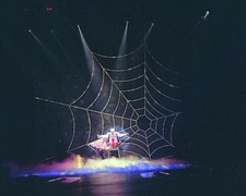 Las Vegas Nevada Siegfried and Roy 1980s Mirage Hotel Onstage Spider Web picture