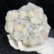 Uncut Geode Agate 5-1/2” Crystal Chalcedony Quartz Agate Unopened Non Rattling picture