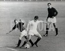 Vintage Press Photo Football, Fiorentina Vs Torino, Moschino, De Sisti, Bolchi, picture