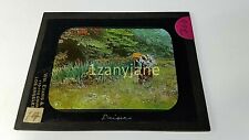 Glass Magic Lantern Slide OOE BEAUTIFUL WOMAN PICKING DAISES IN THE FIELD picture