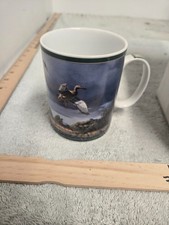Danbury mint, ducks of north america mug, threatening skies, wild wings, box picture