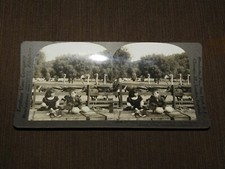 VINTAGE STEREOVIEW STEREOSCOPE CARD CAWSTON OSTRICH FARM PASADENA CALIFORNIA picture