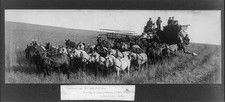 Photo:Washington 1903 Wheat Harvesting Team Threshing Machine Horse Drawn picture