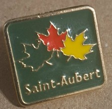 Vintage Enamel Saint-Aubert Maple Leaf Lapel Pin Travel Souvenir Badge picture