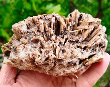 2 Lb 3.3 Oz Extremely Rare Agate Pseudomorph After Zeolite picture