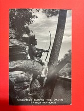 Vintage RPPC Winnebago Native American Man Bow & Arrow Lower Dells Wisconsin picture