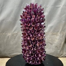 27.86LB New Find purple Phantom Quartz Crystal Cluster Mineral Specimen Healing picture