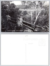 RPPC Decorah Iowa City Park Stone Log Fence Landscape L. L. Cook Co. Vintage picture