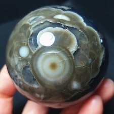 RARE 252.5G Natural Polished Colorful Agate stone Ball Healing Madagascar B1685 picture