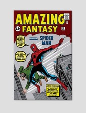 Spider-Man Amazing Fantasy #15 First Appearance Giclee Print Poster 11x17 WalArt picture