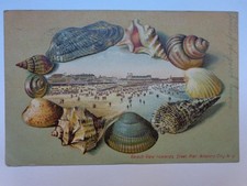 Atlantic City, New Jersey, NJ, Shell Border, Beach View Towards Steel Pier, 1907 picture
