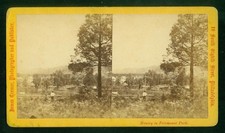 b299, James Cremer Stereoview, # -, Fairmount Park, River at Landsdowne, 1870s picture