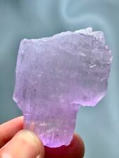 298 Carat Natural Pink Kunzite Crystal From Afghanistan picture