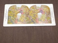 VINTAGE STEREOVIEW STEREOSCOPES CARD FUNNY NATURAL BRIDGE VIRGINIA picture