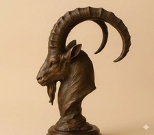 Ibex Ascent picture