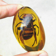 Amber Bee Beautiful Amber Hornet Fossil Insects Manual Polishing Pendant picture