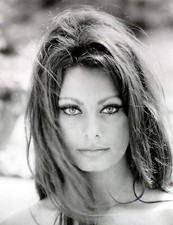 Sophia Loren Beauty Black And White 4x6 Picture Celebrity Print picture