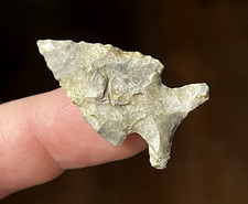 COLORFUL MISSOURI JACKS REEF POINT AUTHENTIC ARROWHEAD INDIAN ARTIFACT B37 picture