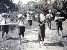 Vintage Boys Picking Giant Watermelons Photo Kids Newsboy Hats Barefoot 1920-30s picture