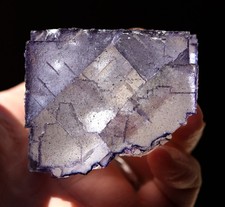 Fluorite crystal with petroleum inclusions. Elmwood mine, Carthage, Tennessee US picture