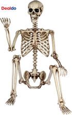 5.4FT Life Size Poseable Halloween Skeleton Outdoor Indoor Decoration picture