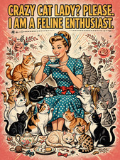 Crazy Cat Lady Feline Enthusiast Cat Fridge Magnet Metal 3x4 830A picture