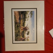 Disney Parks Animal Kingdom Lodge SAVANNA Larry Dotson Print 8” x 10” picture