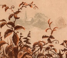 F.I. Woodward's Furniture and Undertaking Rooms Victorian Trade Card picture