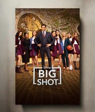 Big Shot 8x12 Metal TV Show Poster Sign picture
