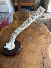 Vintage Antler Carving Lizards  Among Foliage Estate Sale Item Totem? picture