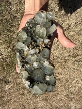 Turkish Epidote with Quartz Crystal Cluster Mineral Specimen 7x3 in,700g+ picture