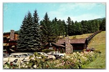 Vintage 1960s - Skimobile - North Conway, New Hampshire Postcard (UnPosted) picture