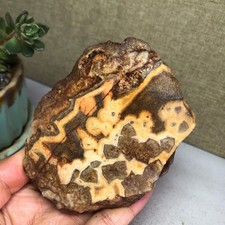 Natural crazy Mexican agate Crystal gemstone rough original Specimen 293g A6030 picture