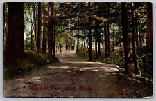 Petersham Massachusetts Country Road Forest Woods Mass MA Vintage UNP Postcard picture