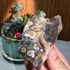 Natural crazy Mexican agate Crystal gemstone rough original Specimen 195g A7699 picture